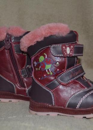 Зимние. сапоги, ботинки шалунишка р.243 фото