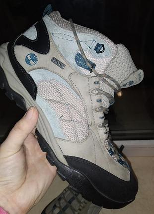 Черевики timberland