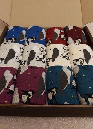 Носки женские весенние 12 пар в подарочной коробке - пингвины
