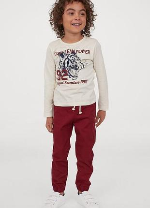 Комплект для хлопчика h&m