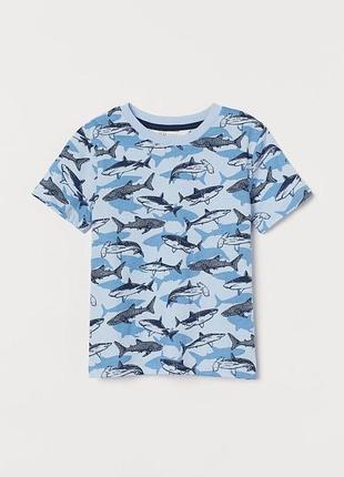 Бавовняна футболочка з принтом акули h&m