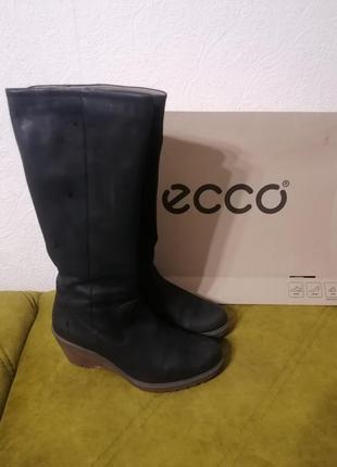 Сапоги деми ecco