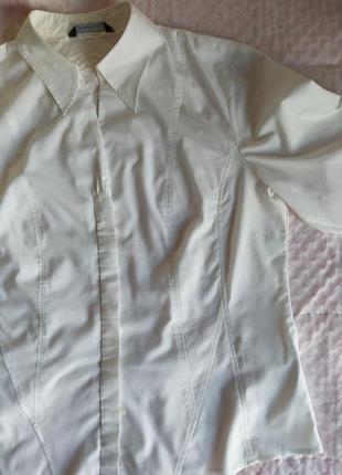 Блузка, рубашка3 фото