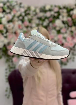 Кросівки жіночі adidas адідас