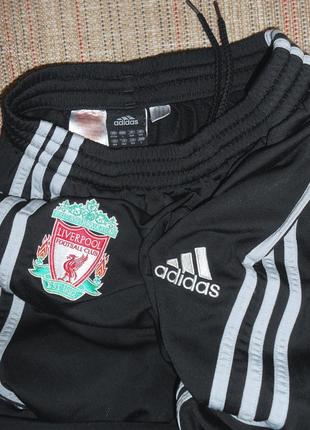 Adidas fc liverpool ліверпуль штани3 фото