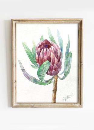 Картина аквареллю в стилі мінімалізм - протея бохо