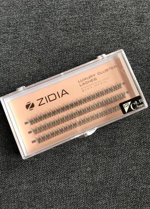 Zidia вії ресницы 12 d 8 mm
