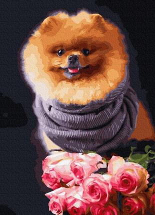 Картина по номерам собачка в цветах1 фото