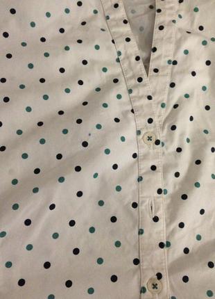 Котоновая блуза в горошек, большой размер laura ashley3 фото