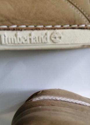 Ботинки кеды timberland7 фото