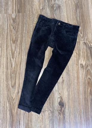 Вельветы lewis 2-3г