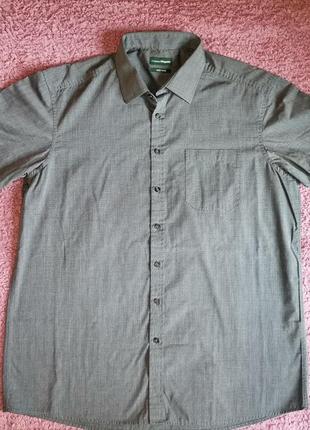 Сорочка з коротким рукавом 43/44