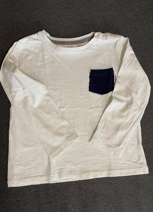Реглан zara