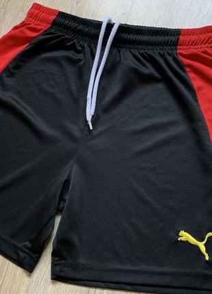 Мужские коллекционные футбольные шорты puma watford fc3 фото