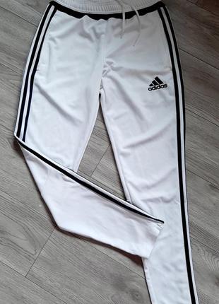 Спортивные штаны adidas (original).