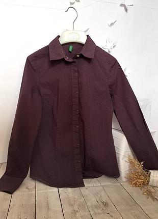 Сорочка з довгим рукавом