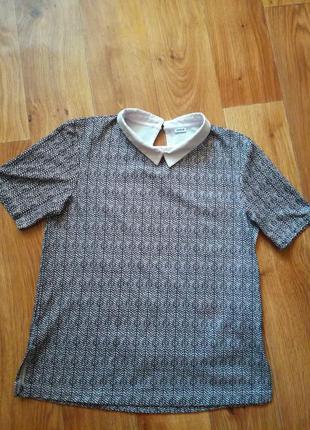 Блуза/кофта з коміром