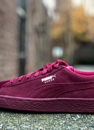 Стильні кросівки puma suede classic velvet cordovan, оригінал, пума замшеві кеди6 фото