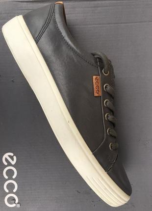 Мужские кеды  ecco soft 7   430004 016025 фото