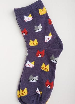 Муррр🐱котики у нас є дещо для вас, прикольні жіночі шкарпеточки з вусатими🐈🔝