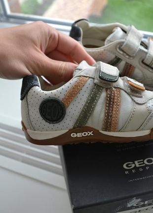 Кросівки geox2 фото