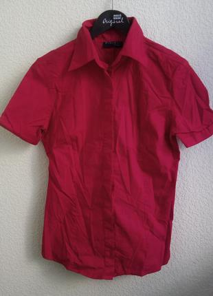 Офисная хлопковая блуза (3062)