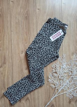 Легінси sugar squad 13-14 років