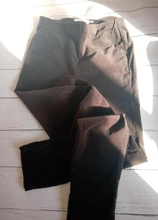 Велюрові лосини