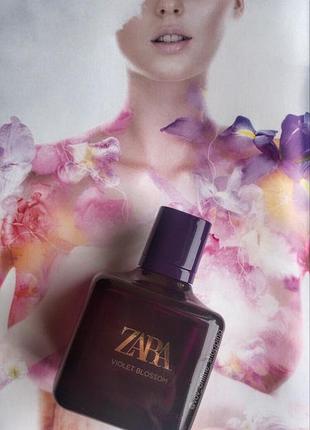 Zara violet blossom 80 ml.