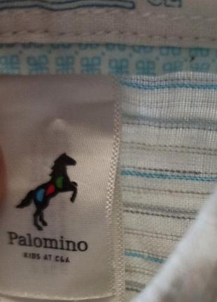 Крутая рубашка от palomino 5