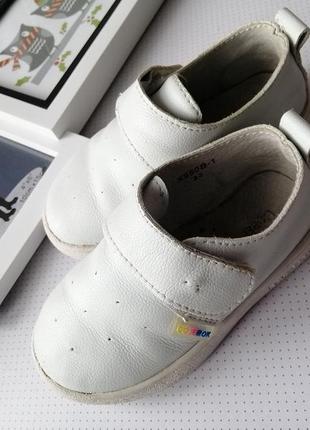 Тапочки мокасини дитячі совеня.