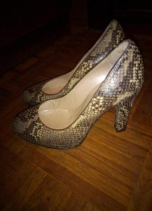Туфлі шкіра змія р 37