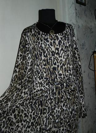 Леопардове плаття msmode,великого розміру,трикотаж1 фото
