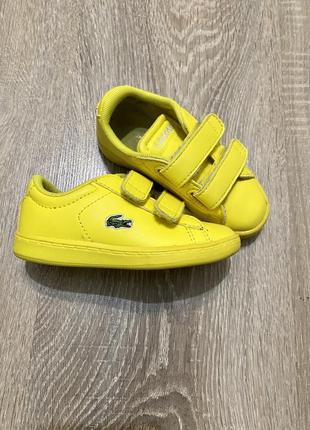 Кеды от lacoste