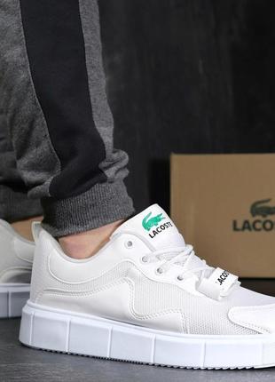 Кроссовки lacoste white