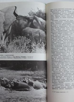 Уникальная полная энциклопедия - шеститомник "жизнь животных" - 7 книг8 фото