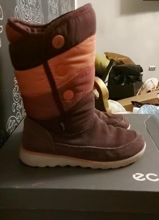 Сапоги ecco 2