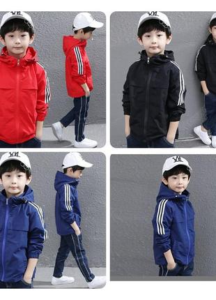 Вітровка модникам