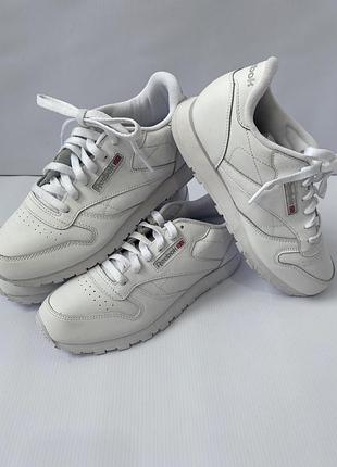 Кроссовки reebok/большой выбор обуви