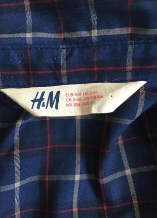 Сорочка клітинка 3-4 роки 4