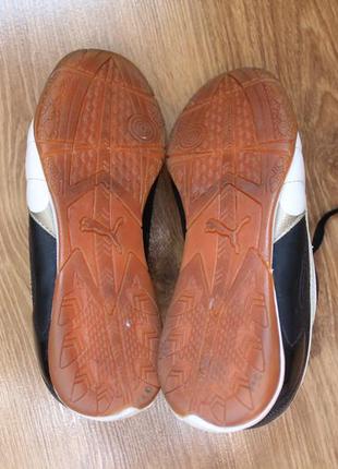 Футбольна взуття на підлітка футзалки бампы puma5 фото