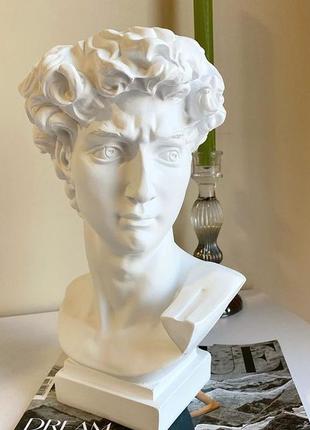 Гипсовый большой бюст давида