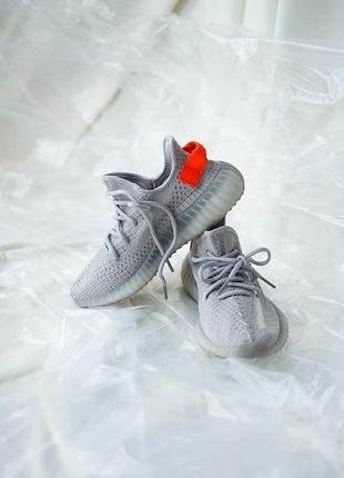 Кросівки adidas yeezy 350 tail light