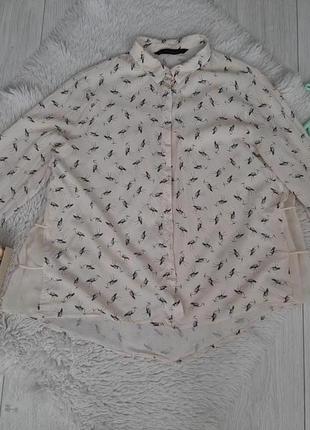 Женская блуза / рубашка zara2 фото