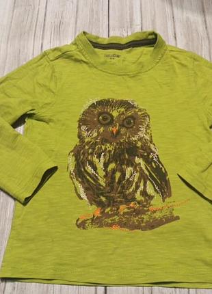 Реглан 🦉🦉🦉 сова