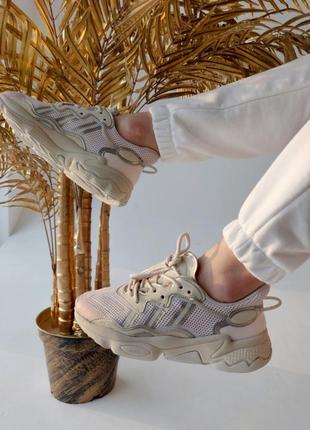 Adidas ozweego beige женские кроссовки адидас озвиго беж люкс ,не путайте с дешевкой