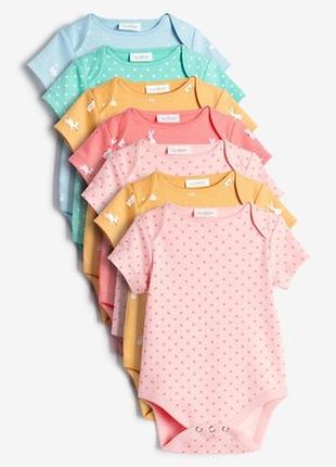 Набір боді next 🔥під замовлення🔥