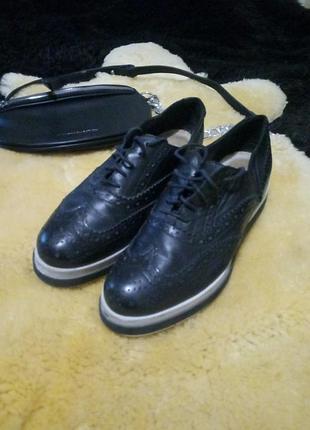 Броги шкіряні globus