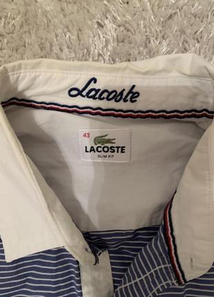 Lacoste сорочка оригінал розмір l2 фото