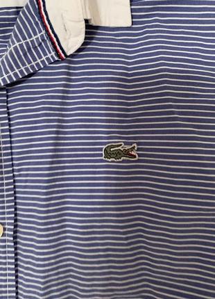 Lacoste рубашка оригинал размер l3 фото